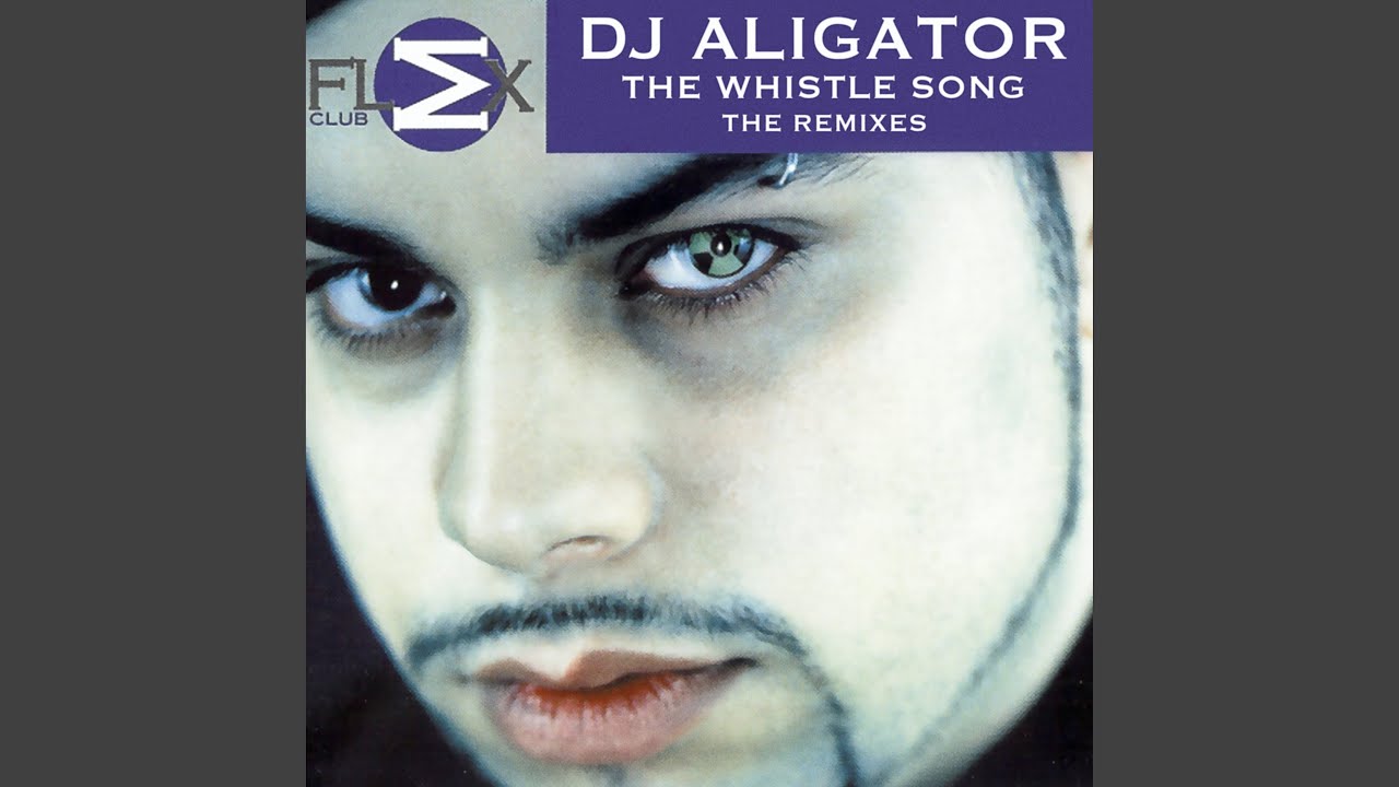 DJ Aligator. Дж Аллигатор вистл Сонг. DJ Aligator the Whistle Song. DJ Aligator Project Sound of Scandinavia. Dj aligator bounce 2 this