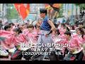 20260607湘南よさこい祭り2026(東海大学 響)【4K】