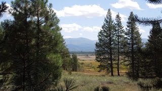 The Donner Party 1996 family reunion and memories of Leanna Donner App