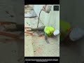 건설 현장 사다리 작업 시 반드시 지켜야 할 안전 수칙 #worker #process #education #safetyfirst #hazards