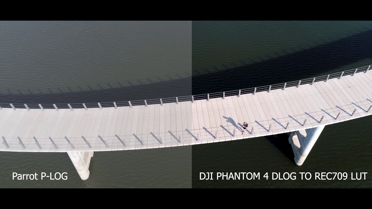 Parrot Anafi - A great LUT to grade your P-Log footage!