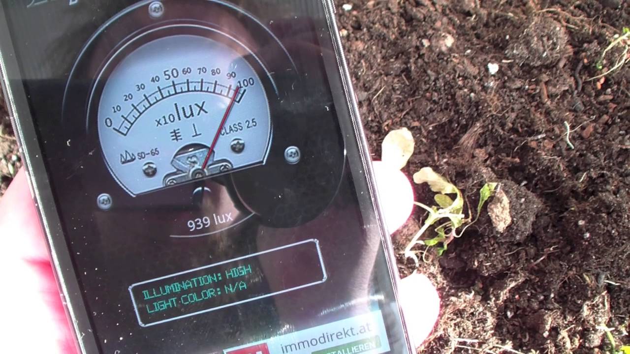 Wieviel Licht brauchen Pflanzen? - YouTube