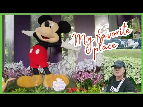 My Favorite Place in Singapore #trending #nature #travel #viralvideo