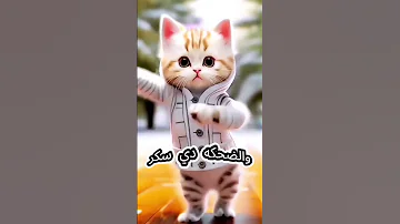 مكه يا قمر يا جميله وسكر اغنيه باسم مكه 