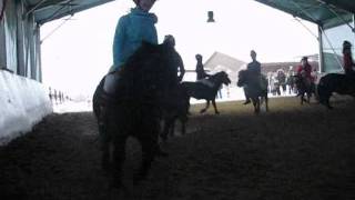 Shetty Quadrillie auf der Weihnachtsfeier vom Ponyclub