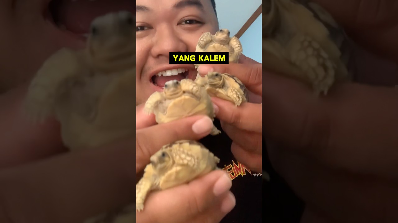 PELIHARAAN ANAK KOST-an PALING MUDAH DAN TIDAK RIBET