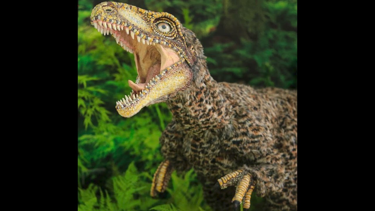 Tachiraptor - roar 🔊
