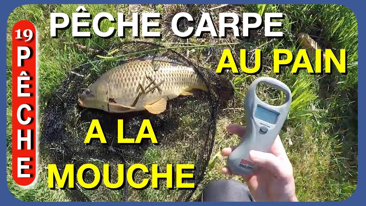 Défi Pêche - Pêcher une CARPE avec une CANNE à MOUCHE  