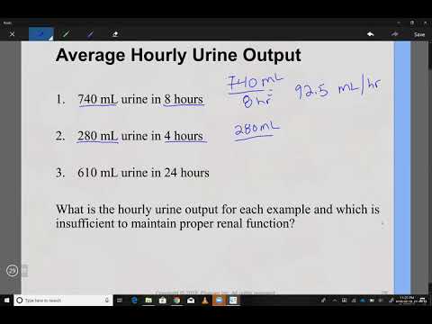 Average Hourly Urine Output