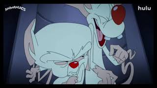 Animaniacs 2Nd Season Stinky And The Brain Scene Original Clip From 2Nd Season Trailer