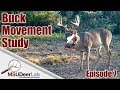 BUCK MOVEMENT STUDY - EPISODE 7: DO BUCKS BED IN THE SAME AREA EVERY NIGHT?