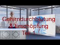 Gehirndurchblutung und Erschöpfung Teil 1