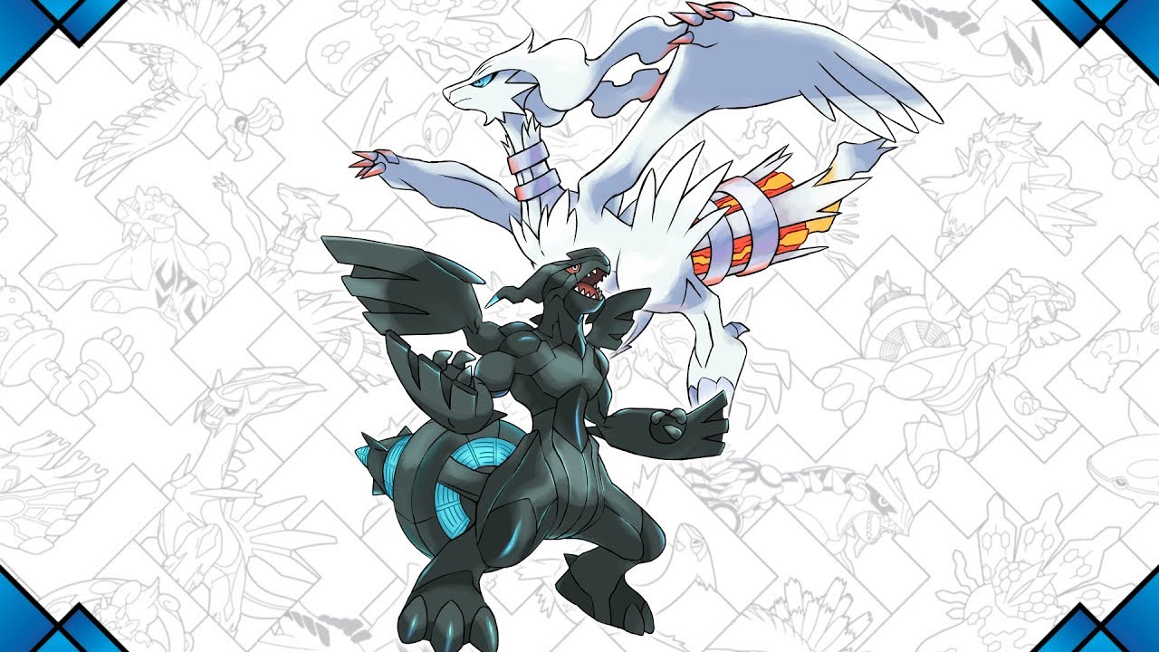 Pokemon Zekrom and reshiram 54