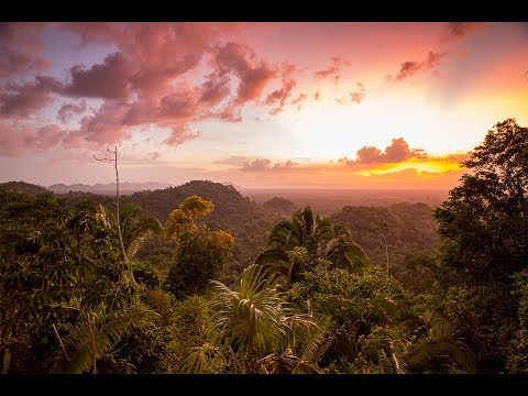 Copal Tree Lodge, a Luxury Jungle Eco-Lodge