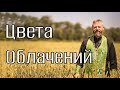 Цвета Церковных Облачений. Символика цвета