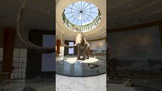 ¡Así es el Museo del Mamut! El Museo Paleontológico de Santa Lucía, Estado de México.