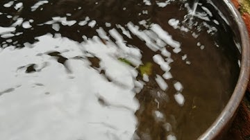 Bubbles and Antibubbles