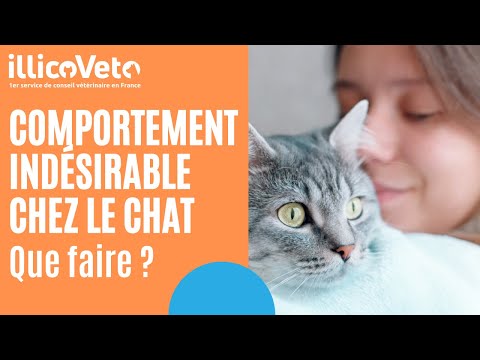 Vidéo: Comment L'alimentation Peut Provoquer Une Hyperthyroïdie Chez Les Chiens - Gérez L'hyperthyroïdie De Votre Chien à La Maison Avec Ce Simple Changement