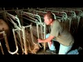 Pork farming documentary