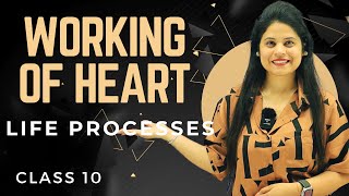 Working of Heart | Chapter 5 | Life Processes | Class 10 Science | NCERT