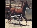 امسيت تايهـ على مطاك امسيت تايهـ على مطاك