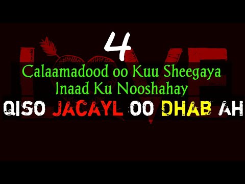 4 Calaamadood oo Kuu Sheegaya Inaad Ku Nooshahay Qiso Jacayl oo Dhab Ah