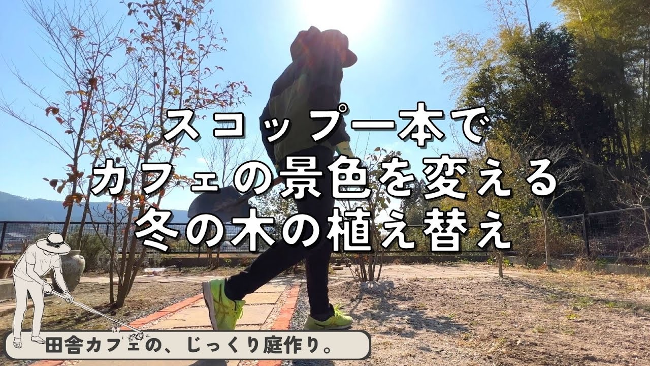 カフェの庭を一新！冬の恒例庭木の移植とそのコツ。