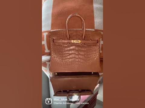 Hermès Birkin 25 Matte Alligator Missi Vanille Gold Hardware