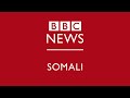 TOOS: Idaacada Subaxnimo