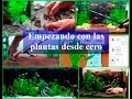 Acuario. Empezando con las plantas desde cero