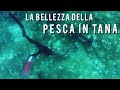 Pescasub la bellezza della pesca in tana spearfishing