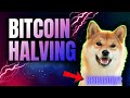 The bitcoin halving is almost here and shiba inu is ready to explode