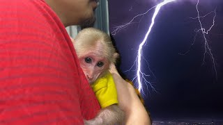 Dad knows what to do to protect BiBi when it's thunder