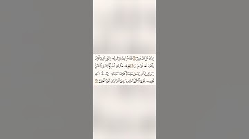 دقيقة للقرآن الكريم من سورة التغابن تلاوة الشيخ سعد الغامدي