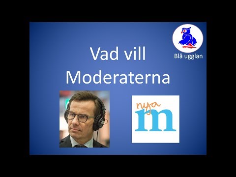 Video: Vad är budhanteringsprogramvara?