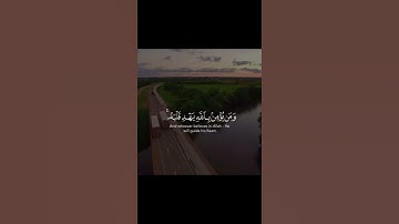 آيات القرآن الكريم(3)