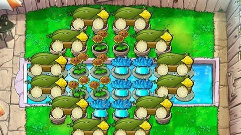 Tai Chi 12 Cob | Survival Endless