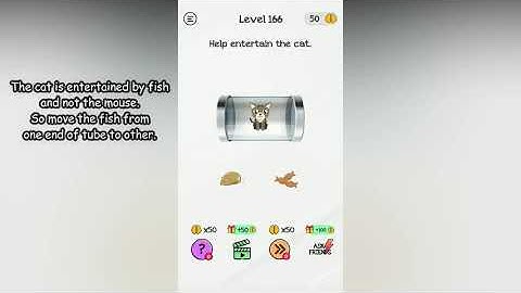 Braindom Level 166 Help entertain the cat.