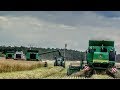 Wielkie Żniwa 2019 | 5 x John Deere | 1 x Claas Lexion  | Big Harvest in Poland || OHZ GARZYN
