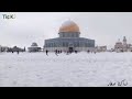 عيوننا اليك ترحل كل يوم يا قدس عيوننا اليك ترحل كل يوم يا قدس