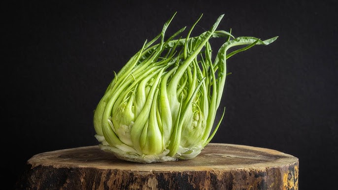 video per abili: TAGLIAPUNTARELLE alla ROMANA 