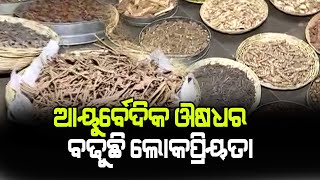 Bazaar Halchaal: Odisha Ayurvedic Factory - A Herbal Production Unit