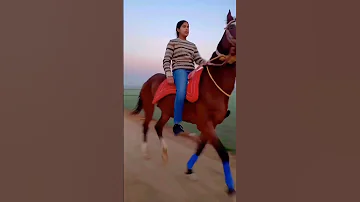 Horse Riding By A Beautiful Indian Village Girl In Early Morning Horseriding Shorts Horsetraining 