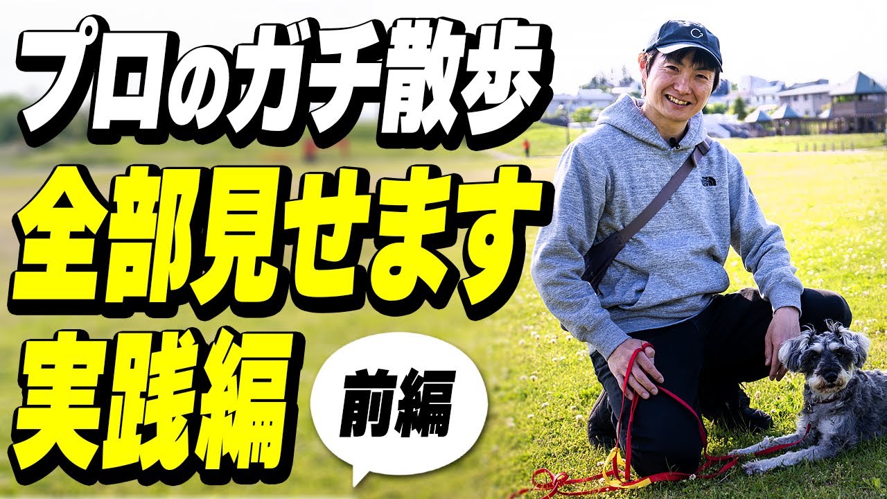 【散歩】犬が驚くほど変わる！プロの散歩テク5選　前編