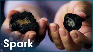 The RareEarth Elements That Will Change Our Future | Treasure Hunters | Spark