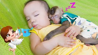 Lovely! Monkey PUPU and baby NGUYEN go to sleep together in a hammock!