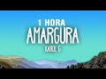 1 hora karol g  amargura