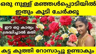 അടുക്കളയിലെ ഇതൊന്നു മതി റോസ് നിറഞ്ഞു പൂക്കും | Rose Gardening Malayalam | Rose flower poovu undakan