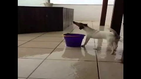Onde ir com chuva?