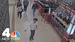 9-year-old girl punched in face by repeat Grand Central attacker: police | NBC New York